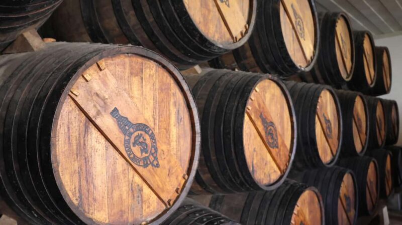 From Lisbon: Private Arrábida Natural Park with Wine Tasting - In The Sum Up