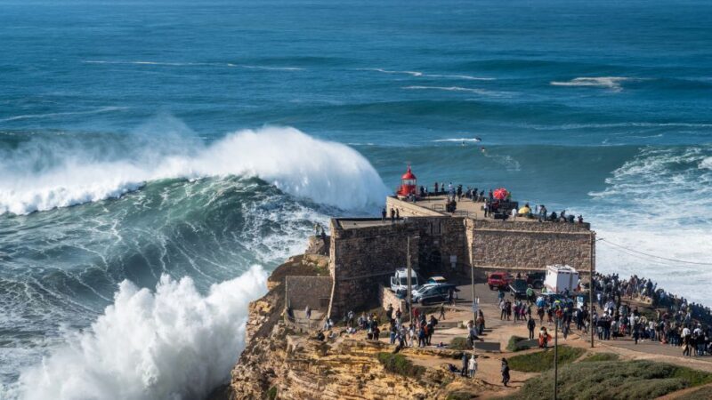 From Lisbon: Private Óbidos and Nazaré Tour - Who Is This Tour Best For?