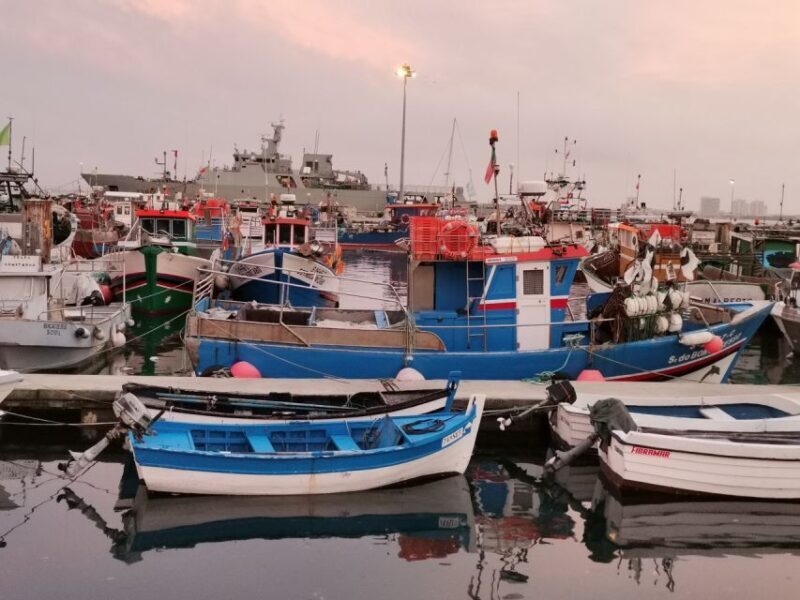 From Lisbon: Private Wine Tour with Setúbal & Arrábida - Key Points