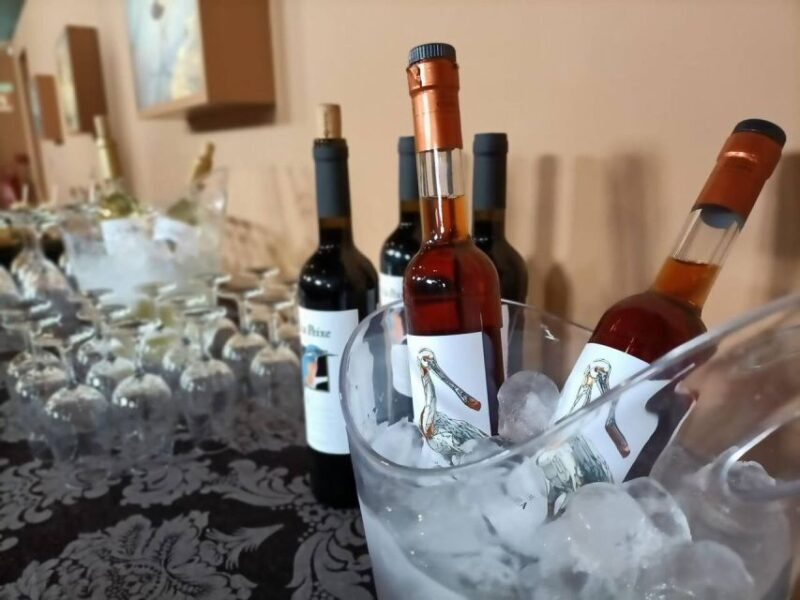 From Lisbon: Private Wine Tour with Setúbal & Arrábida - Authentic Reviews & Genuine Insights