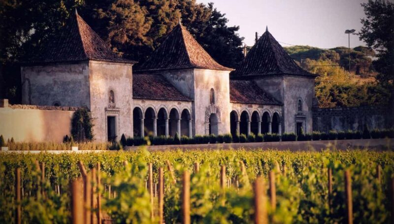 From Lisbon: Serra da Arrábida, Sesimbra, and Setúbal Wines - An In-Depth Look at the Experience