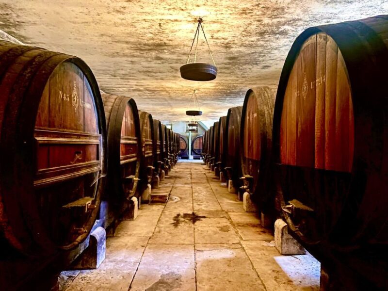 From Lisbon: Setúbal & Arrábida Wine Tour with Lunch - Key Points