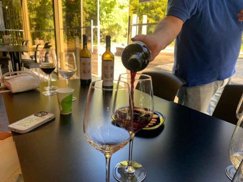 From Lisbon: Setúbal & Arrábida Wine Tour with Lunch - Exploring the Itinerary in Detail