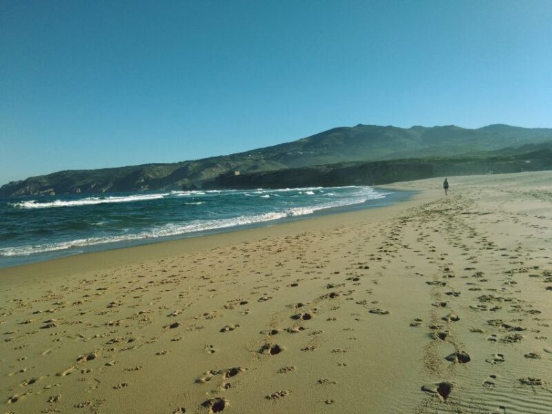 From Lisbon: Sintra and Cascais Natural Park Private Tour - An In-Depth Look at the Tour Experience