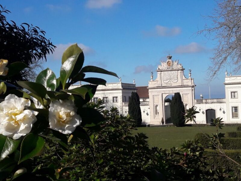 From Lisbon: Sintra & Cascais PRIVATE Tour - Final Thoughts
