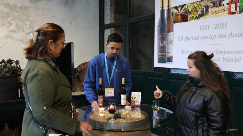 From Lisbon: Sintra, Pena Palace, Cascais and Wine Tasting - How We Found the Tour