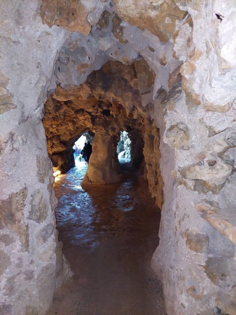 From Lisbon: Sintra Private tour Half-Day in a premium car - Why This Tour Works for You