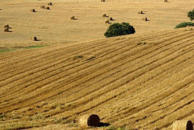 From Lisbon to Alentejo: Évora and Megaliths Full-Day Tour - A Deep Dive into the Tour Experience
