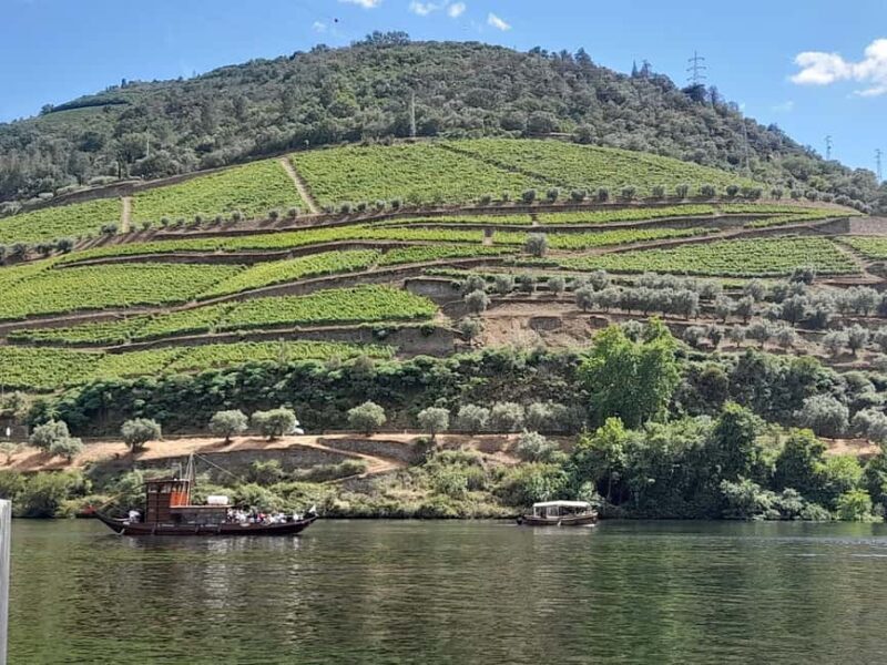 From Lisbon to Douro Valley with Stops up to 4 Cities - Introduction: A Journey Through Portugal’s Heartland