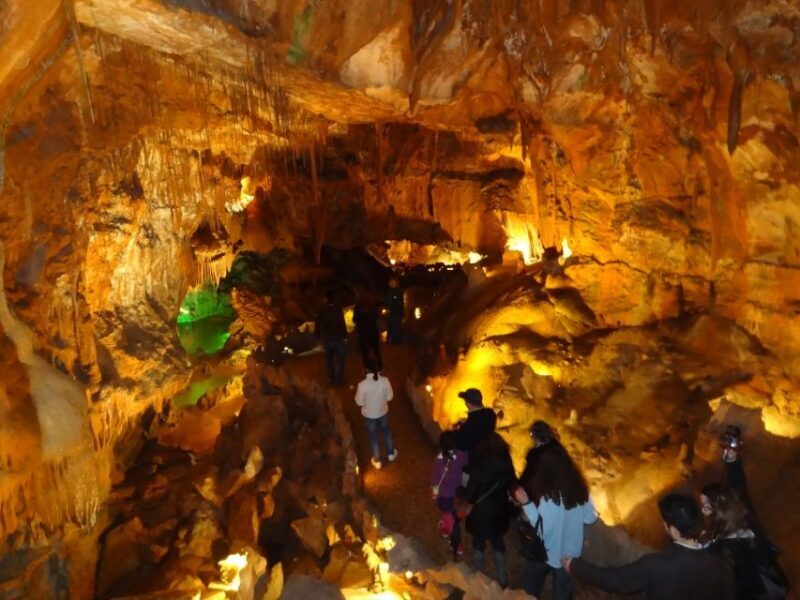 From Lisbon: Tomar Templar Full-Day Private Tour - Discovering Tomar and the Knights Templar: A Full-Day Private Tour from Lisbon