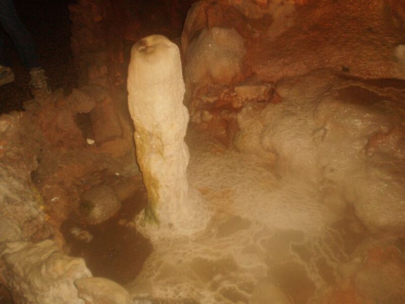 From Lisbon: Tomar Templar Full-Day Private Tour - Why This Tour Works Well