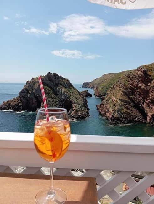 From Lisbon: Tour to Berlengas, a UNESCO natural reserve - Key Points