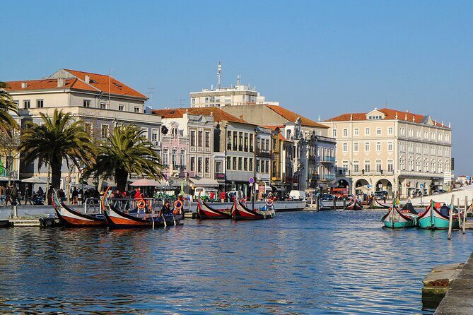 From Lisbon: Transfer to Porto with up to 3 City Stops - An In-Depth Look at the Itinerary
