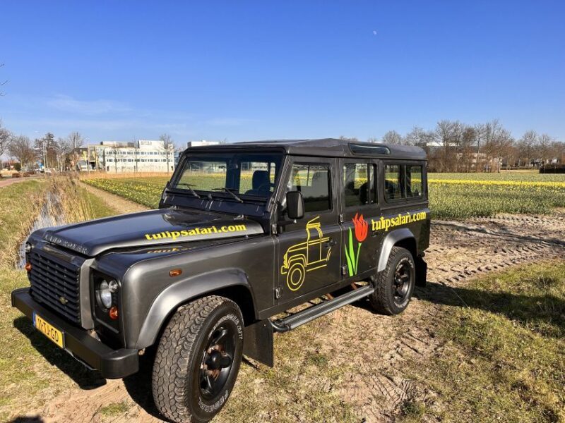 From Lisse: Landrover Tour Around Keukenhof & Flower Fields - Key Points
