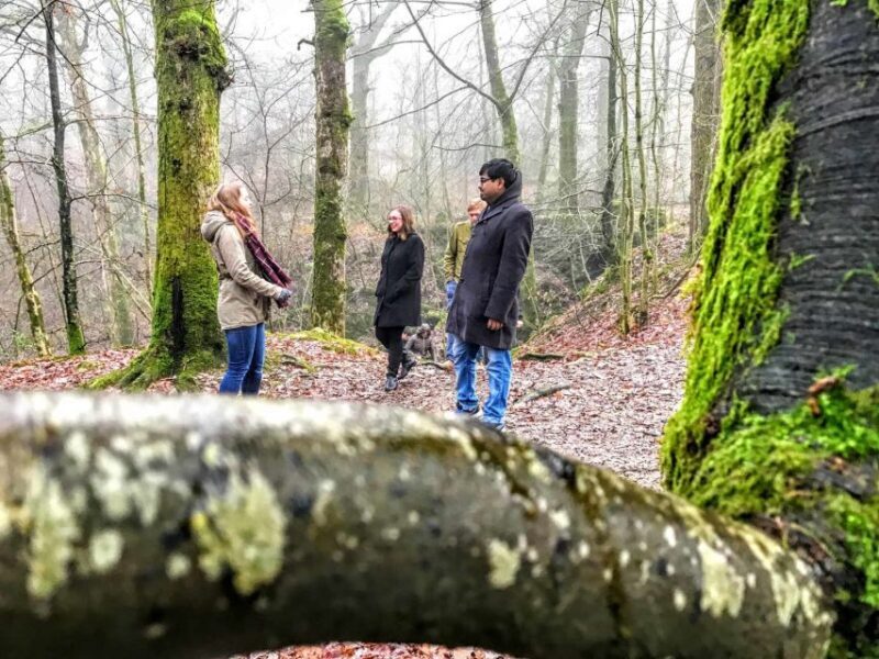 From Liverpool: Lake District Sightseeing Adventure Day Trip - The Sum Up