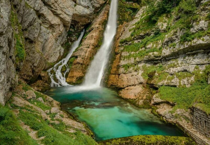 From Ljubljana: Bled & Bohinj Day Trip + Local Picnic Treat - A Close Look at the Tour Experience