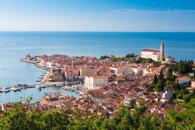 From Ljubljana: Piran Half day tour - The Experience: What You Can Expect