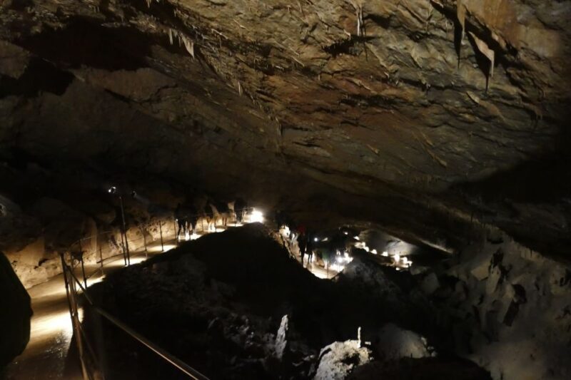 From Ljubljana: Skojan Caves Half-Day Trip - Why the Skocjan Caves Are a Must-See in Slovenia