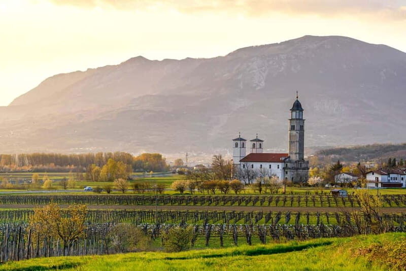 From Ljubljana: Vipava Valley Wine Express Tour - Pricing and Value