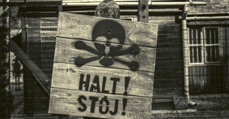 From Lodz: Auschwitz-Birkenau Small-Group Tour with Lunch - An In-Depth Look at the Auschwitz-Birkenau Small-Group Tour from Lodz