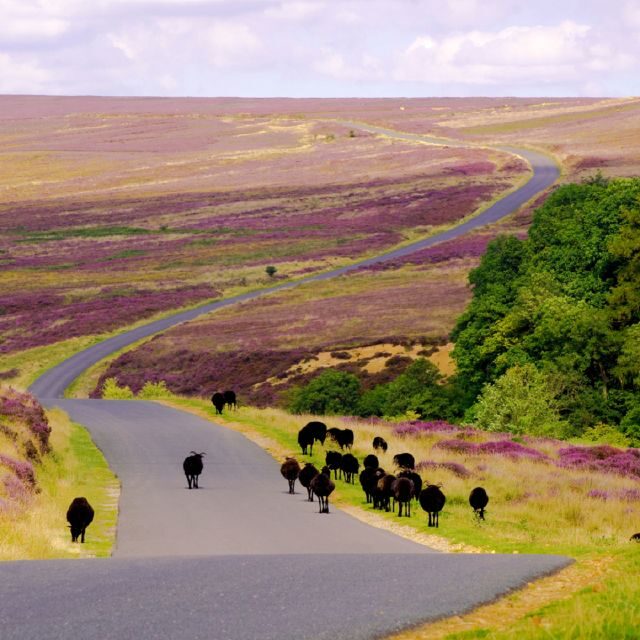 From London: The North York Moors with Steam Train to Whitby - Frequently Asked Questions