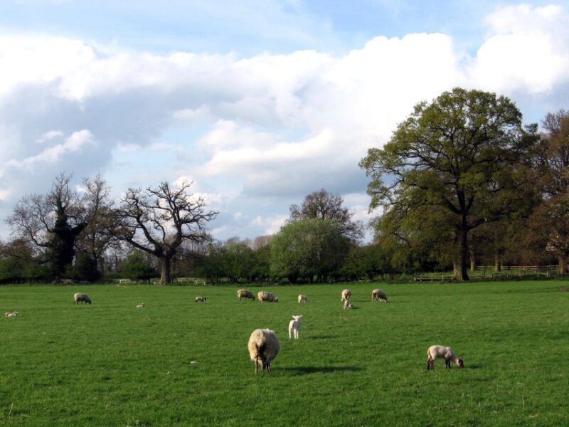 From London: Warwick Castle, Stratford & Oxford Day Tour - Frequently Asked Questions