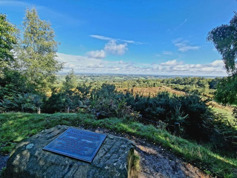 From London: Winnie-the-Pooh's Hundred Acre Wood Day Tour - The Value of the Tour