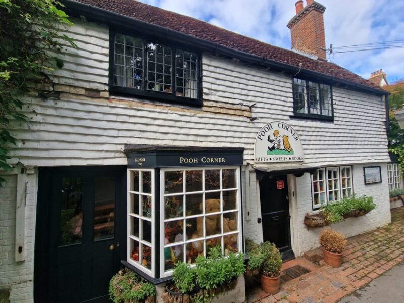 From London: Winnie-the-Pooh's Hundred Acre Wood Day Tour - Final Thoughts