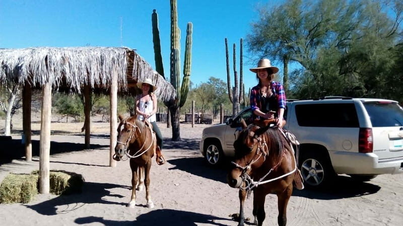 From Loreto: Baja Desert Horseback Riding Tour - Key Points