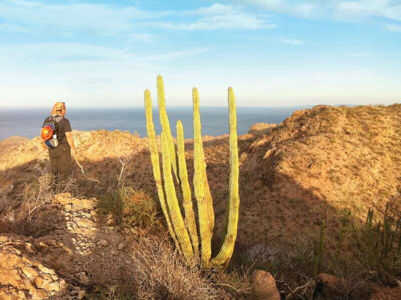 From Loreto: Canipole Cave Painting Guided Hike - FAQs