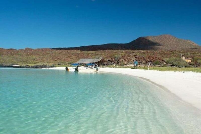 From Loreto: Coronado Island, Sea Lions and Snorkeling Tour - Why This Tour Works Well