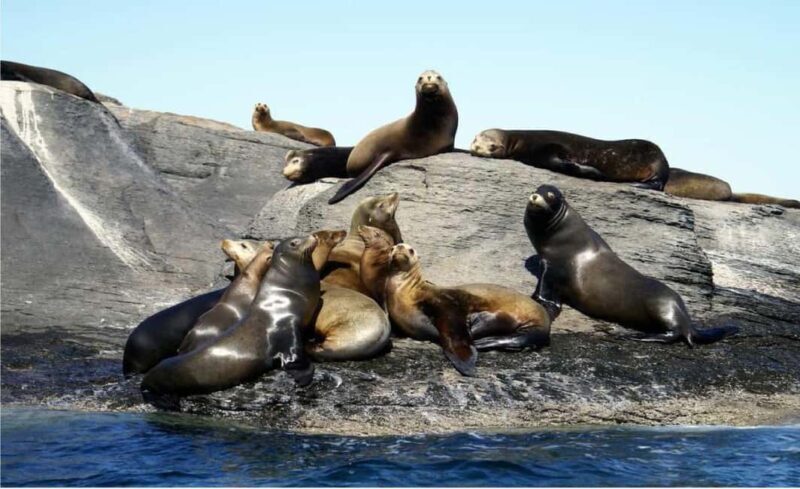 From Loreto: Coronado Island Snorkel - Location and Overview