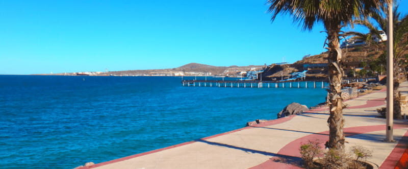 From Los Cabos: City Tour La Paz, Balandra and Todos Santos - Who Is This Tour Best For?