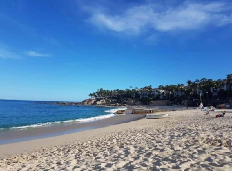 From Los Cabos: La Palmilla Beach Time & Drinks - Key Points