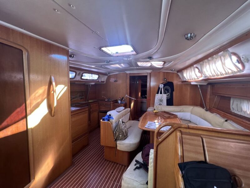 From Los Gigantes: Whale Watching Sailboat Cruise - The Experience: What to Expect on the Whale Watching Cruise