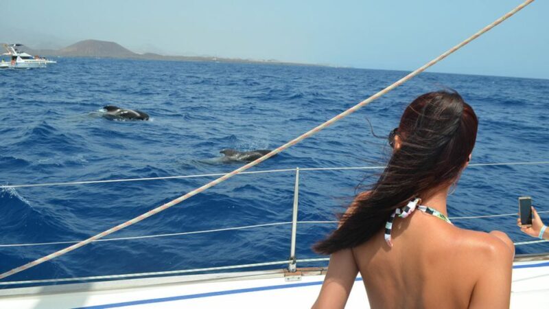 From Los Gigantes: Whale Watching Sailboat Cruise - Practical Tips for Travelers