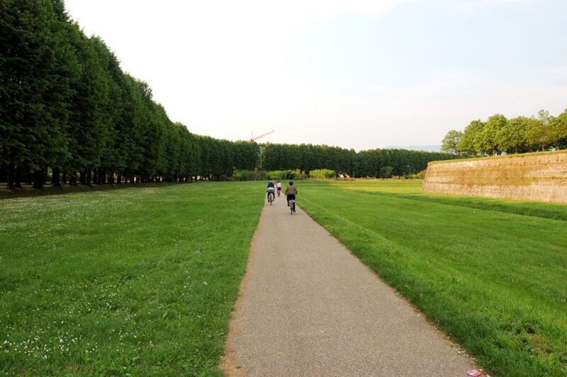 From Lucca to Pisa: Self-Guided Bike Tour - Value for Money