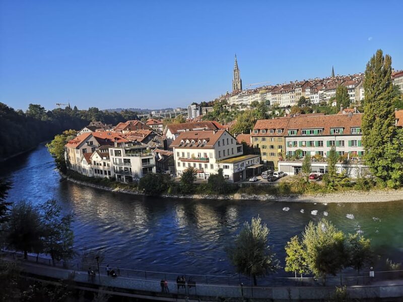 From Lucerne: Day Trip to Geneva by Car - Who Is This Tour Best For?