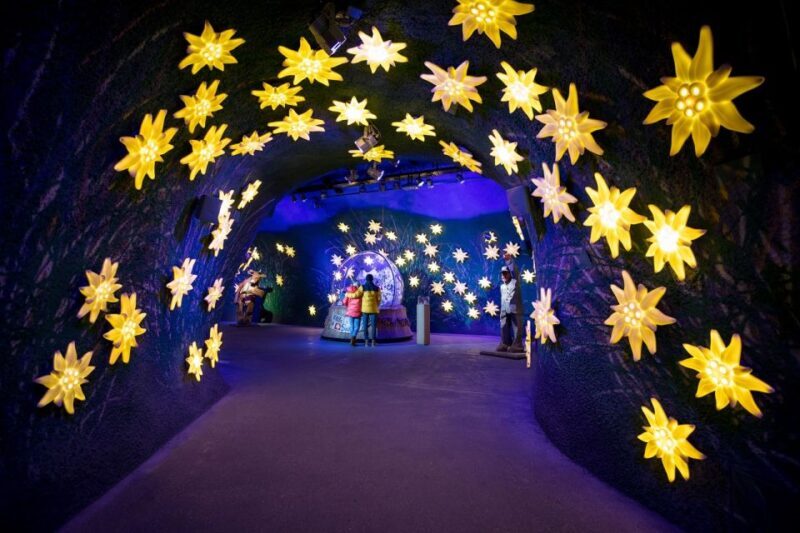 From Lucerne: Day Trip to Jungfraujoch Top of Europe - Start and End Points: Convenience and Comfort