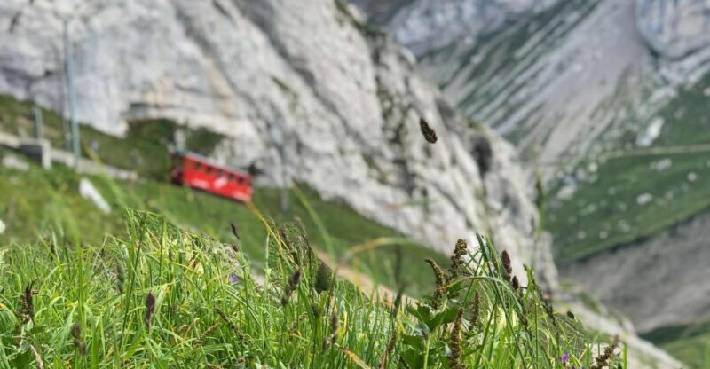 From Lucerne: Mt. Pilatus and Lake Lucerne Private Tour - Key Points