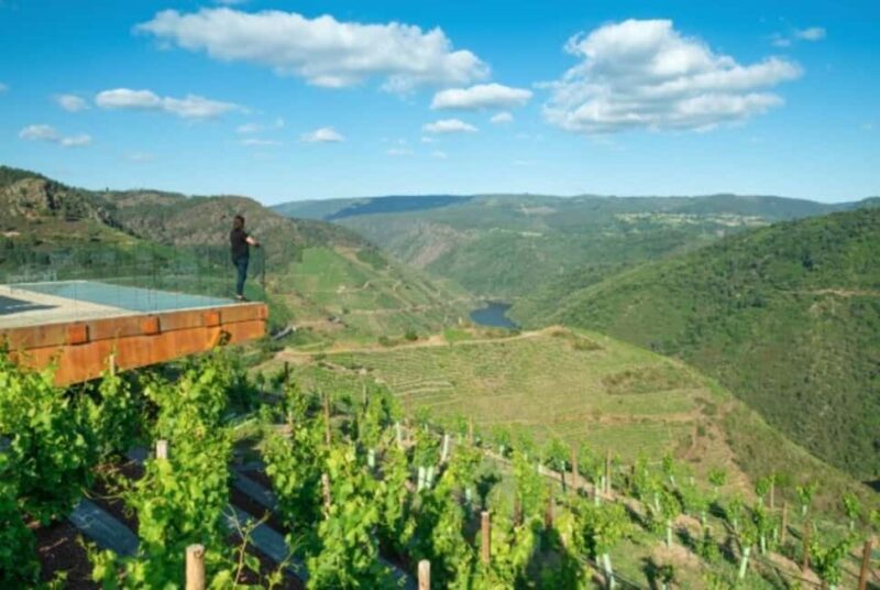From Lugo: Half day excursion to Ribeira sacra - Key Points