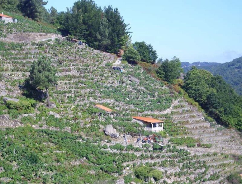 From Lugo: Half day excursion to Ribeira sacra - The Itinerary in Detail