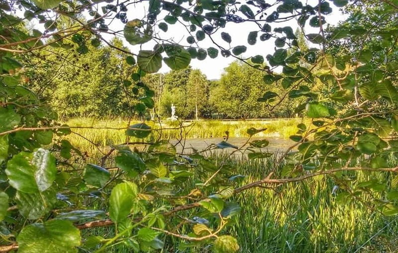 From Lugo: Half-day excursion to the Viladonga Hillfort - Discover Galicia’s Past with a Half-Day Tour to Viladonga Hillfort from Lugo