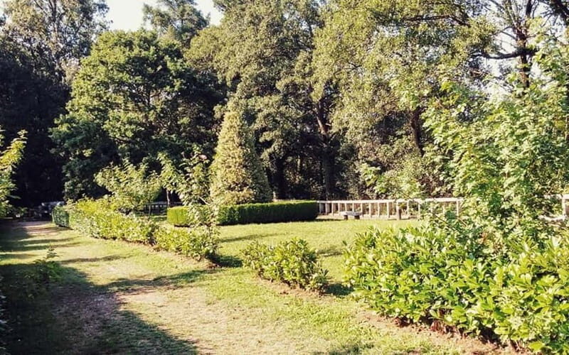 From Lugo: Half-day excursion to the Viladonga Hillfort - Final Thoughts on the Viladonga Hillfort Excursion