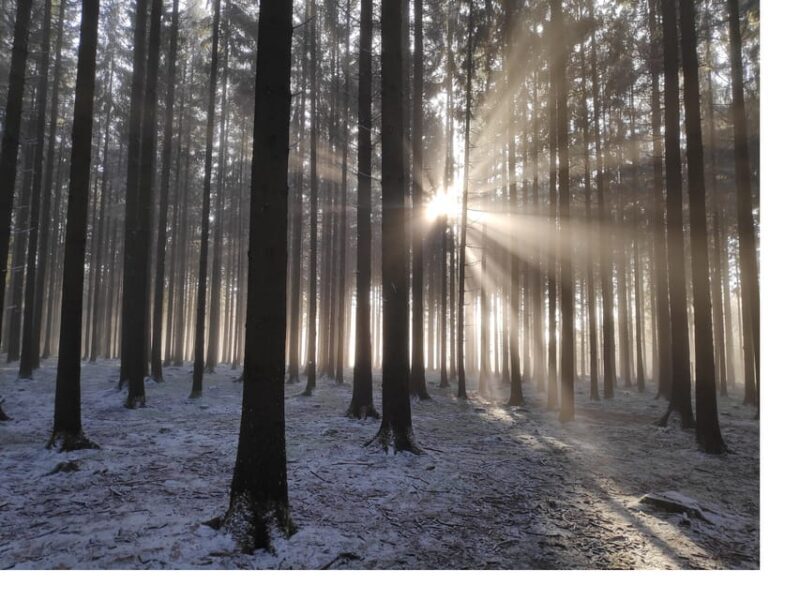 from Luxembourg: Battle of the Bulge Full-Day History Tour - Final Thoughts: Is It Worth It?