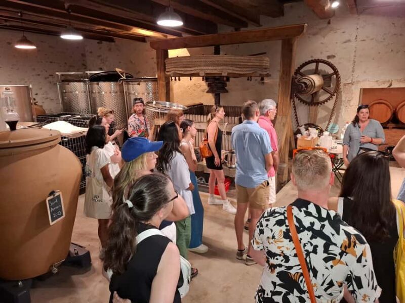 From Lyon: Beaujolais Wine Route Half-Day Tour - The Introduction: Scenic Drive & Château de Pizay