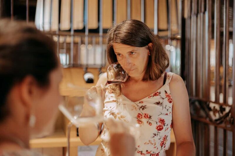 From Lyon: Beaujolais Wine Route Half-Day Tour - Practicalities & Tips