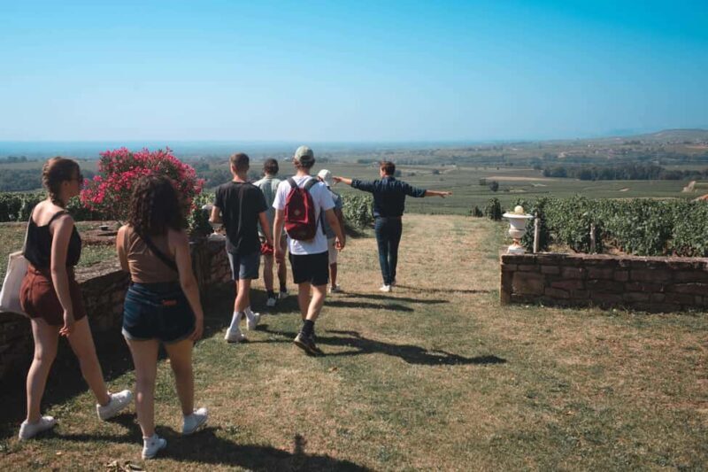 From Lyon: Burgundy Private Half Day Tour by Defender - Pricing and Value Analysis