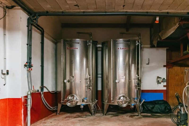 From Lyon: Golden Stones Beaujolais Wine Tasting Tour - Authenticity and Cultural Experience