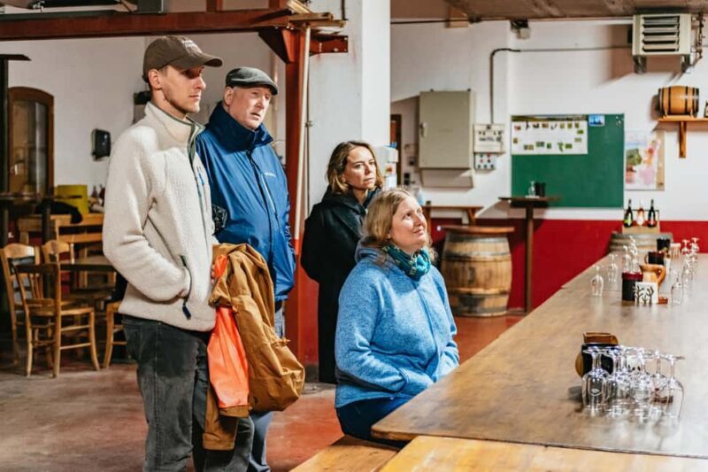 From Lyon: Golden Stones Beaujolais Wine Tasting Tour - Who Will Love This Tour?